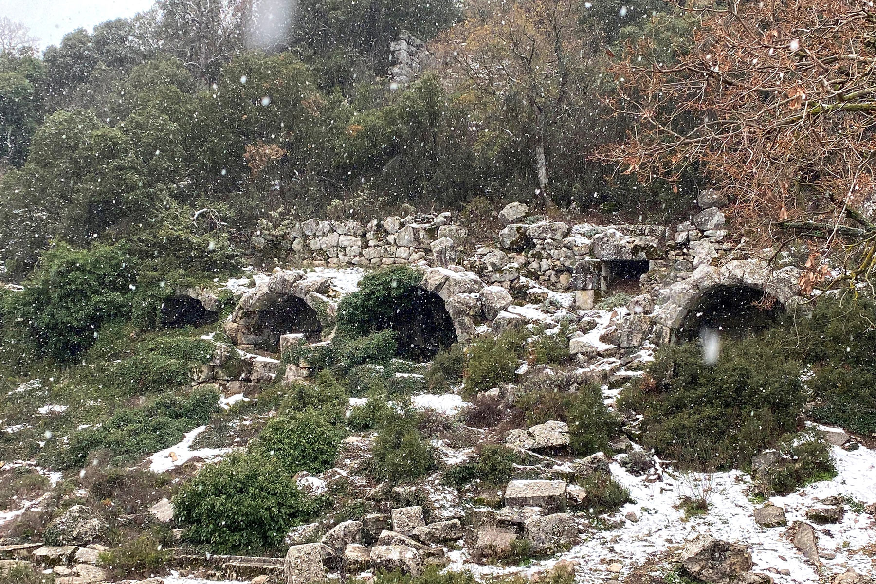Termessos Ruins, Düzlerçamı
